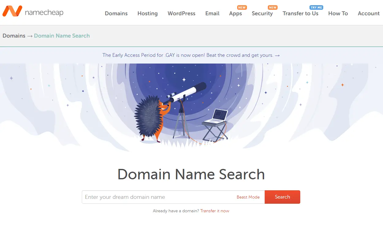 namecheap domain name