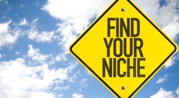 how to find micro niche ideas