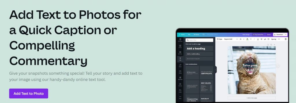 Canva add text to photos 