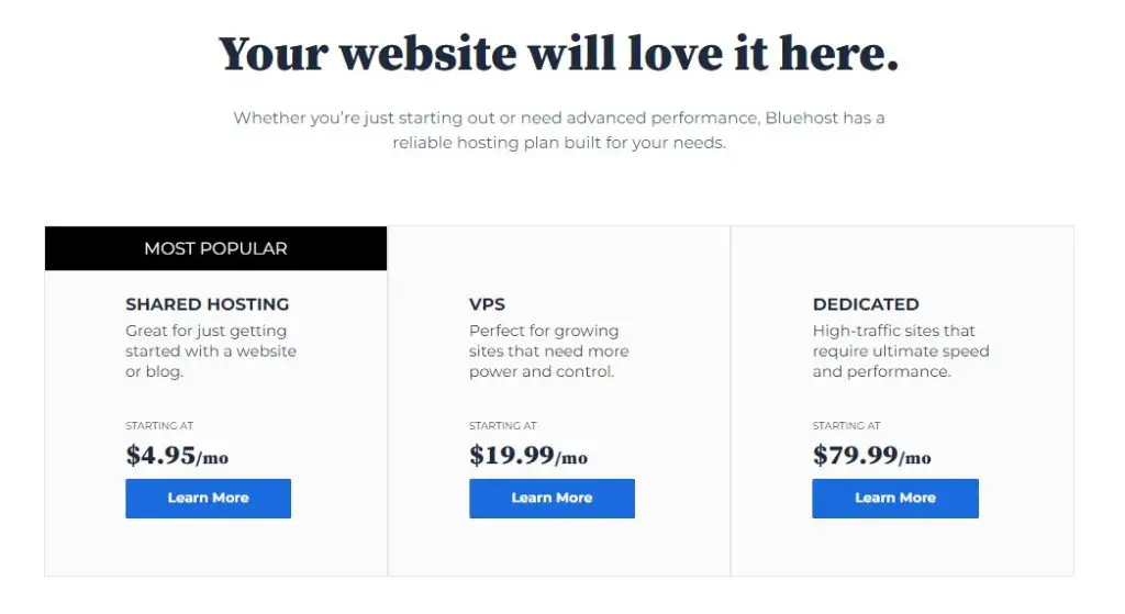 Bluehost hosting pricing: Review for writers 