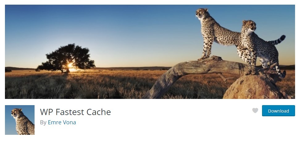 WP Fastest Cache to speed up your website 