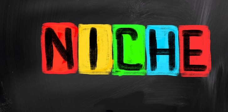 Find a niche for your social media side hustle 
