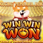 MENANG HOKI DI GAME TEMA KUCING WIN WIN WON